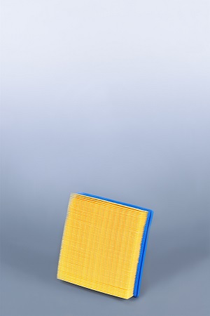 AF25305  фильтр очистки воздуха