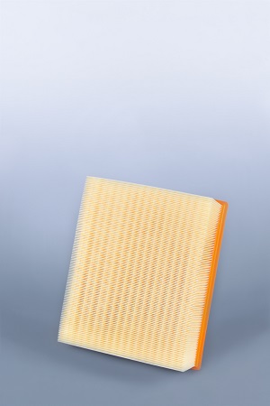 AF25306  фильтр очистки воздуха