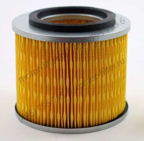 AF25309  фильтр очистки воздуха