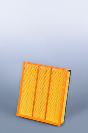 AF25319  фильтр очистки воздуха